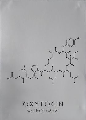 Affisch Oxytocin
