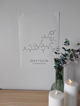 Affisch Oxytocin