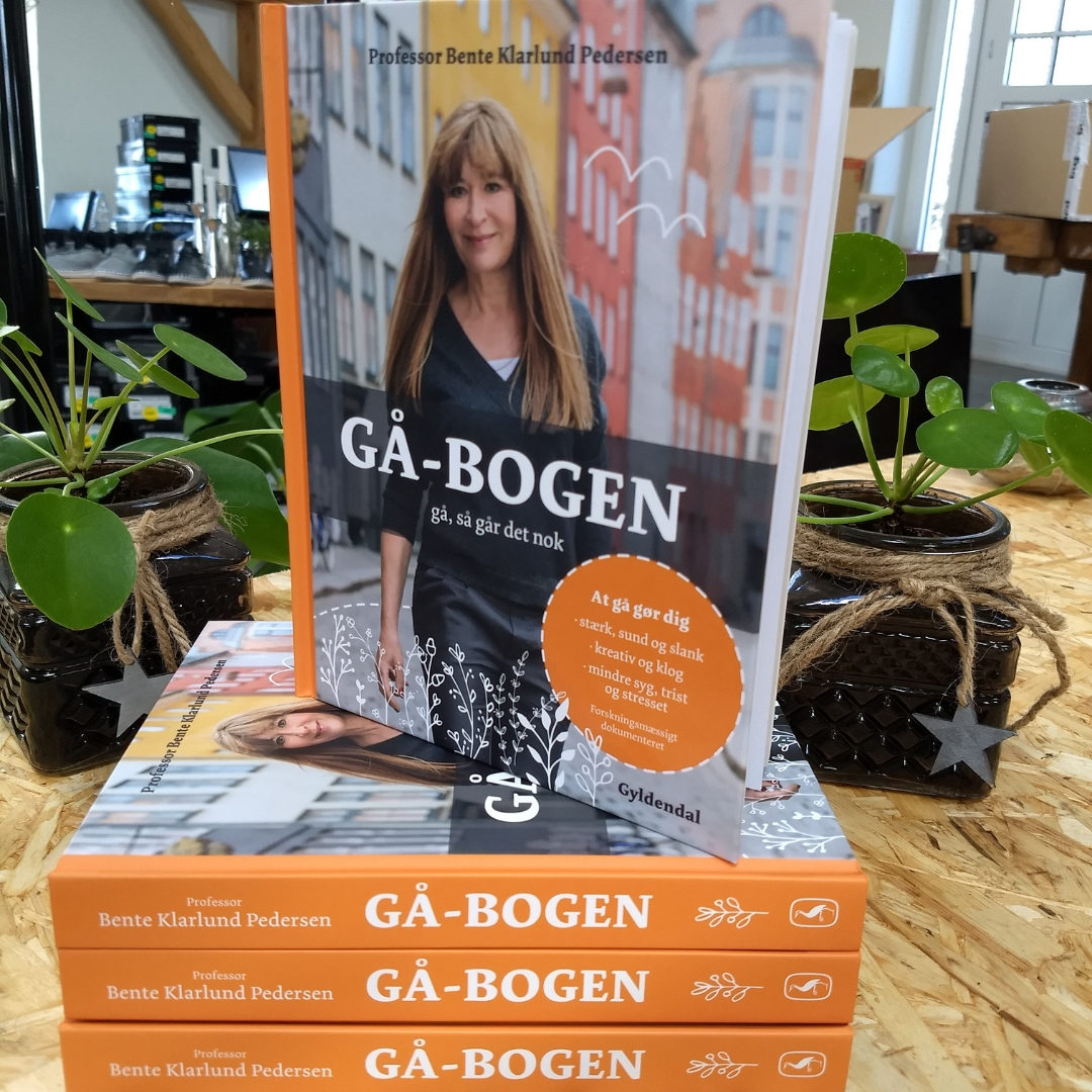 GÅ-BOKEN - Gå, så fixar det sig av Bente Klarlund